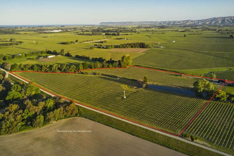 212 Selmes Road Rapaura_1