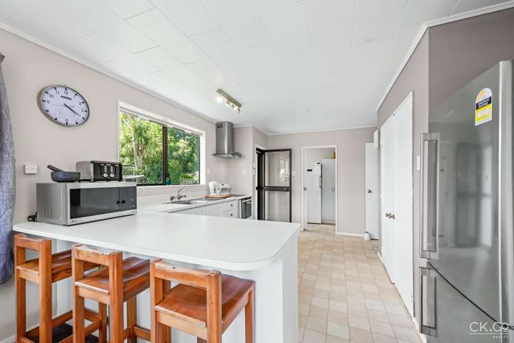 127 Gemstone Drive Birchville_1