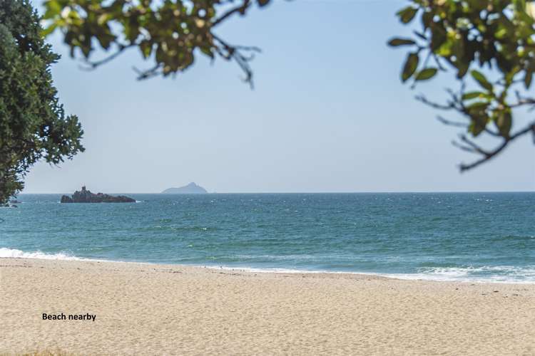 7 Aberdeen Street Mount Maunganui_20