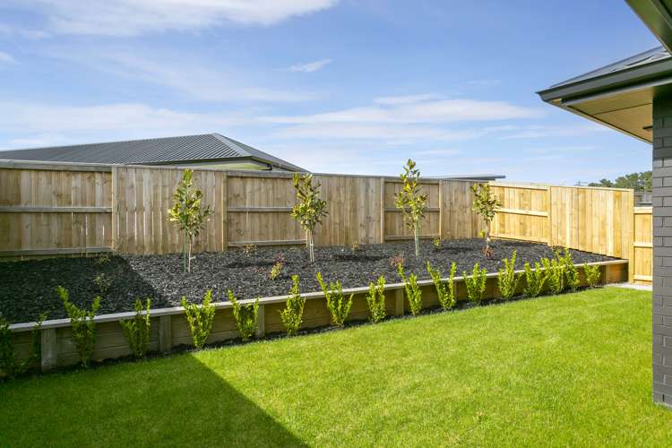 49 Harakeke Drive Wharewaka_12