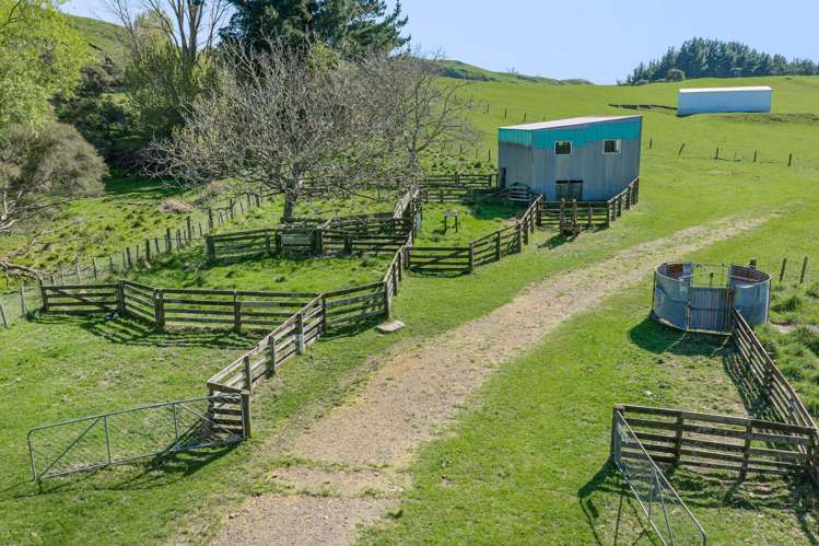 468 Waikoau Road Tutira_2