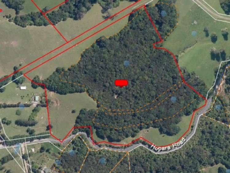 229 Hupara Road Pakaraka_18