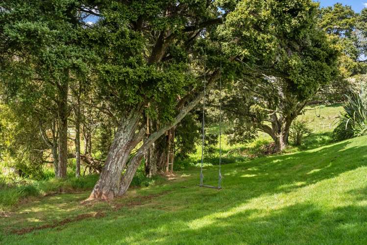 198 Harris Road Glenbervie_5