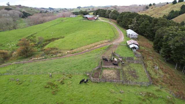 398 Bull Road Paparoa_3