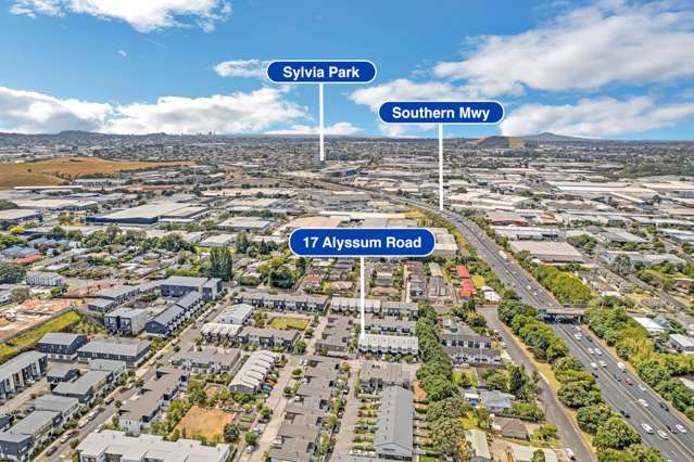 17 Alyssum Road Mt Wellington_3