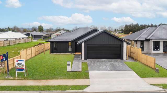 29 Buxton Crescent Matamata_2