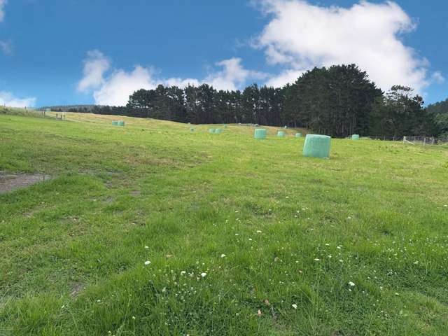 75 Kai Iwi Lakes Road Dargaville_3