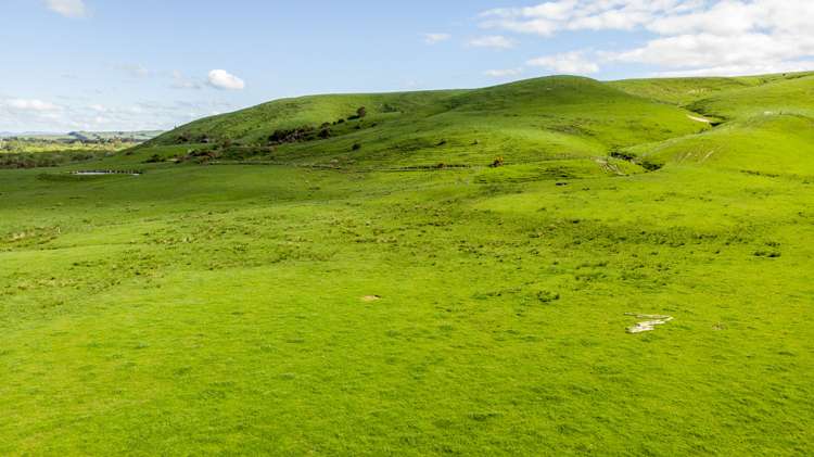 96 Bruces Road Sefton_17