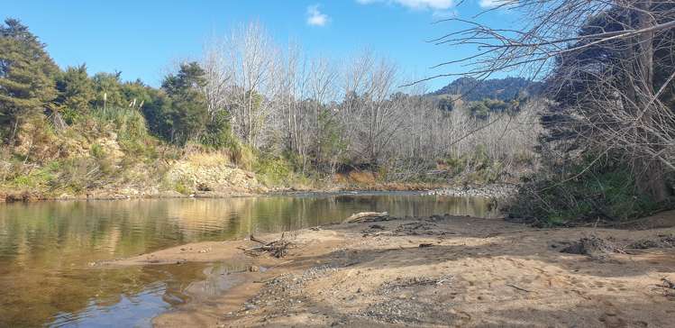 654 Kauaeranga Valley Road Thames_16