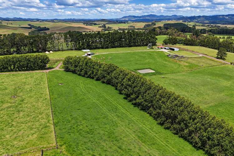 374 Rakauwahia Road Kaikohe_10
