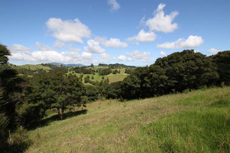 109 Paponga Road Broadwood_14