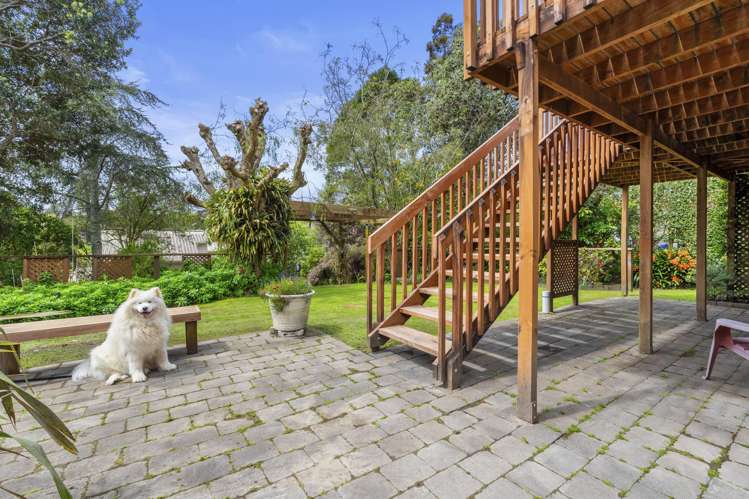 368 Whangaparaoa Road Stanmore Bay_25