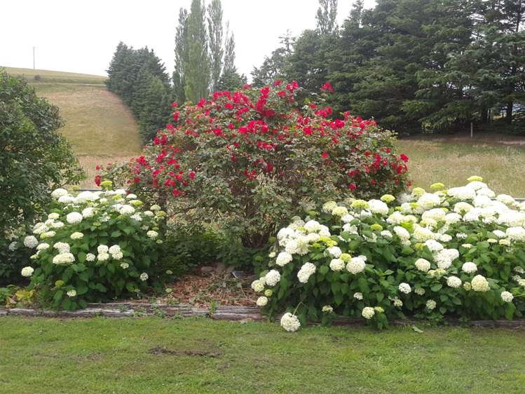 417 Waihaorunga Back Road Elephant Hill_13