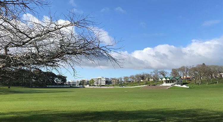 806/96 Symonds Street Grafton_1