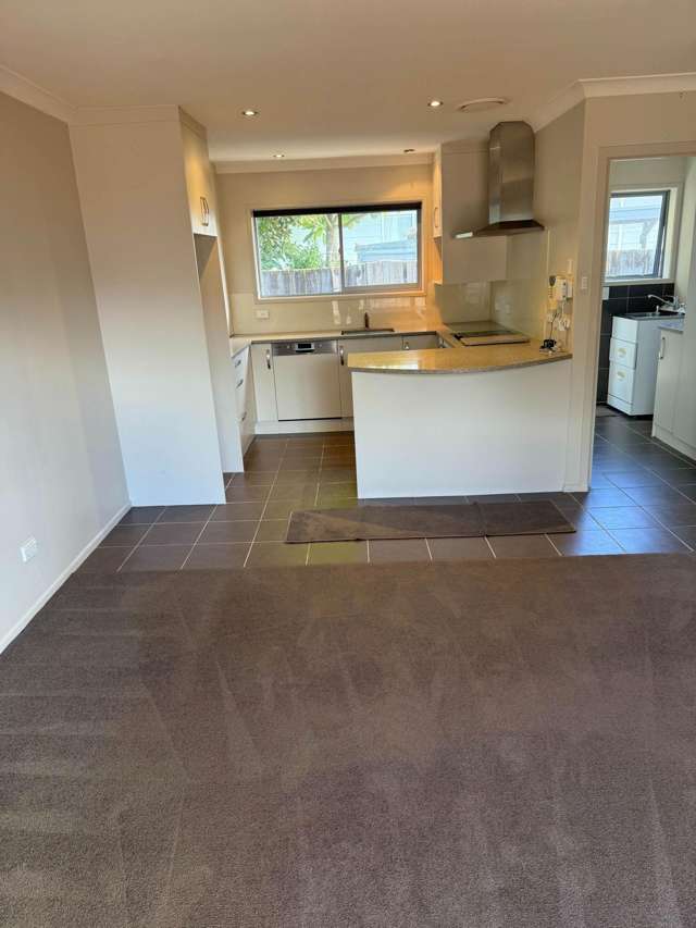 2/14 Laud Avenue Ellerslie_1
