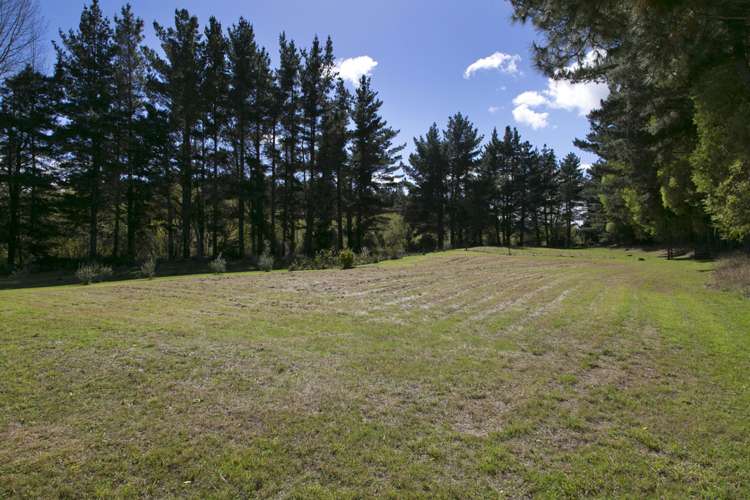 1729 River Road Broadlands_14