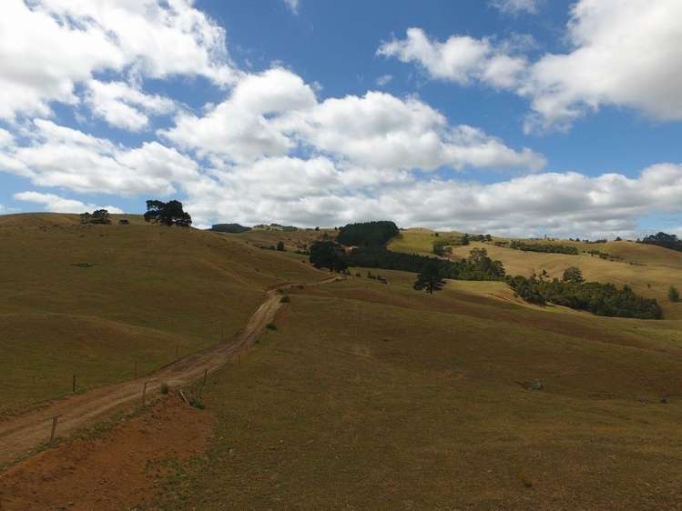 Maratoto Road Hauraki_6