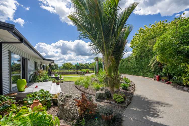 694 Ngunguru Road Glenbervie_31