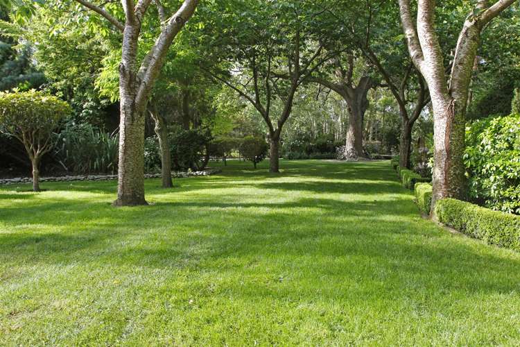 750 Wairakei Road Burnside_12