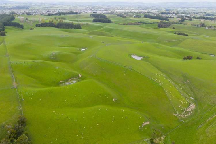 234 Sandon Road Feilding_10