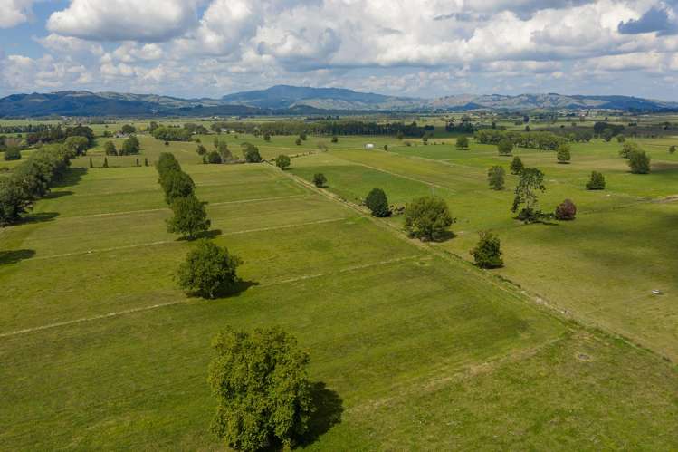 3331 Cambridge Road Cambridge_13