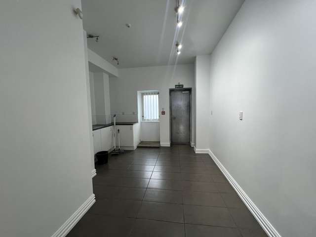 107 Vivian Street Te Aro_2