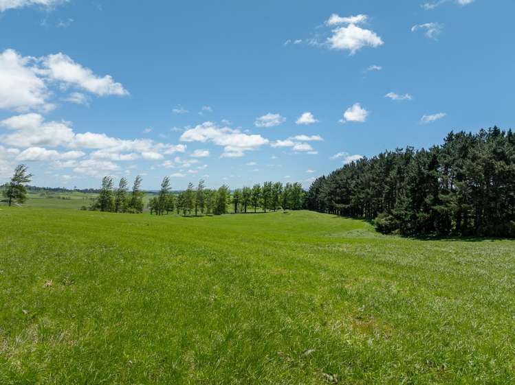 529 Waikokowai Road Huntly_26