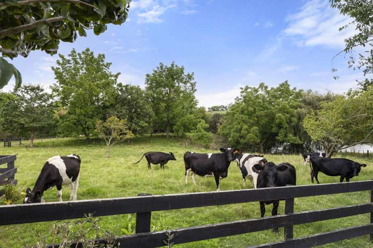 47 Raynes Road Rukuhia_33