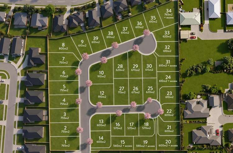 Lots 1-8 Tuatahi Avenue_0