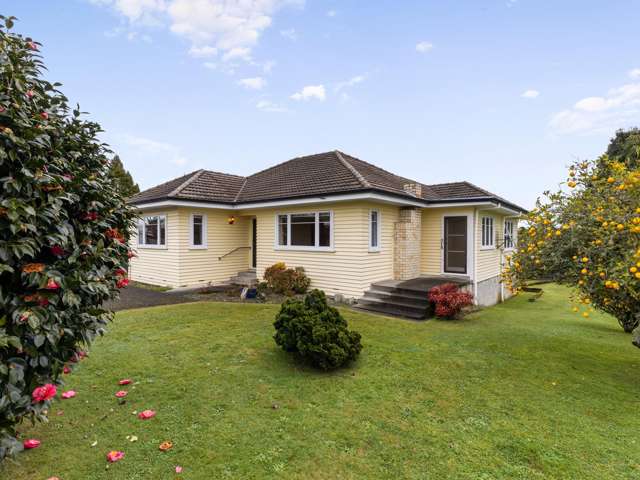 93 MacFarlane Street Hamilton East_3