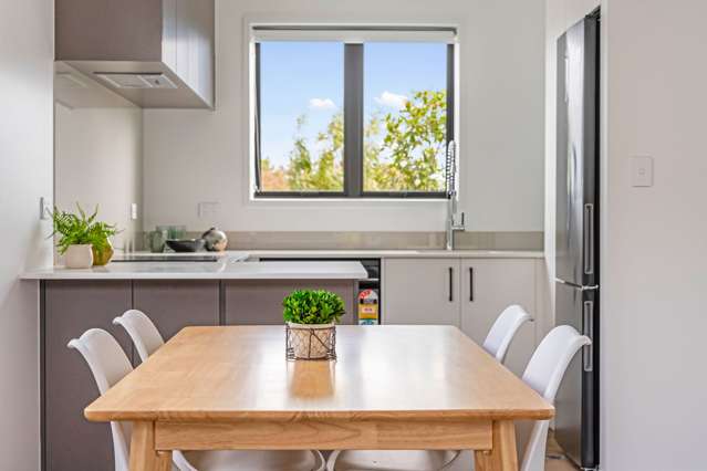 73-89 Freeland Avenue Mount Roskill_3