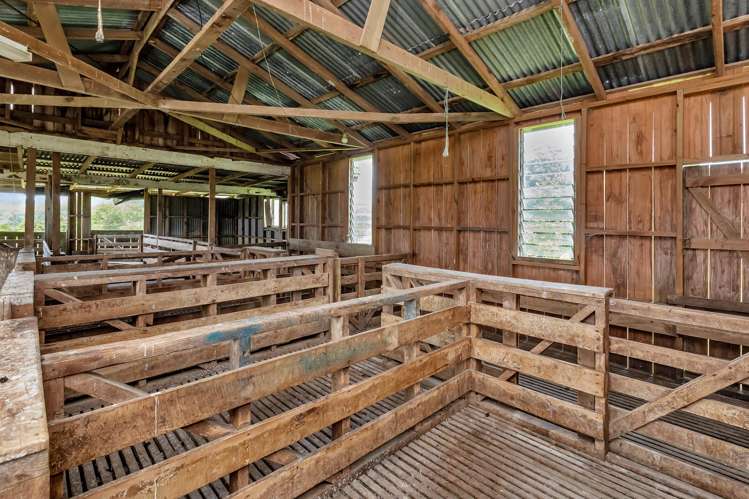 Pipiwai Road Purua_37