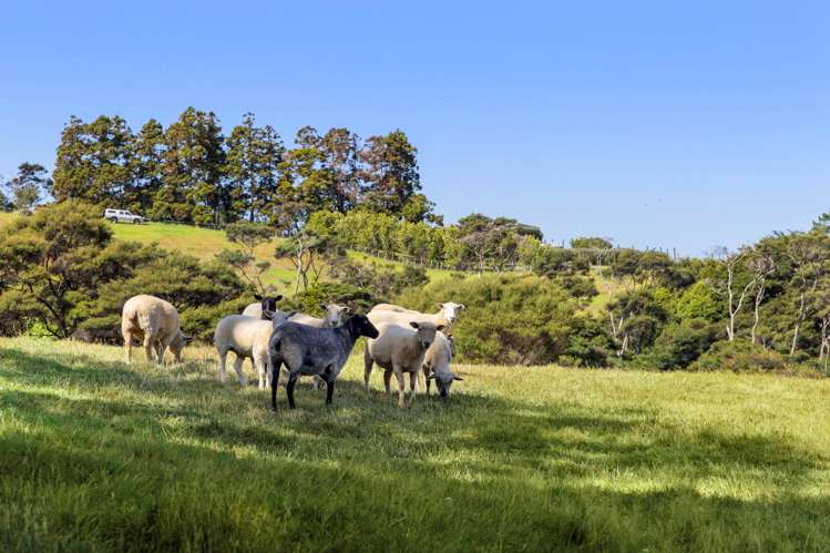 41 Annandale Road Kumeu_47