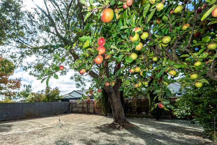 45 Vivian Street Burwood_13