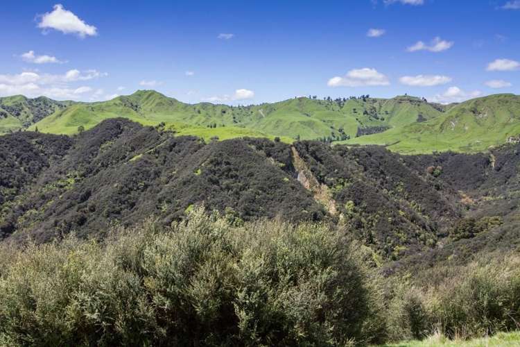 4064 State Highway 4 Kakatahi_9
