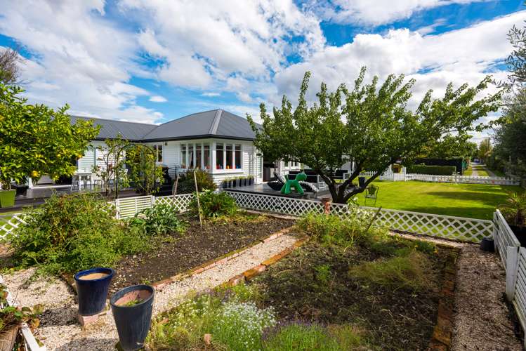 44a Adams Lane Springlands_19