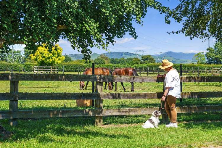 3714 Cambridge Road Leamington_8