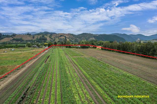 444 Paton Road Hope_3