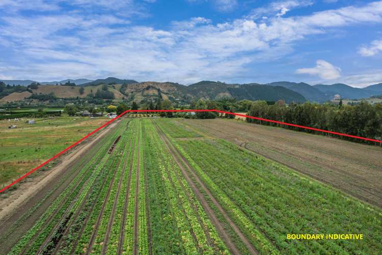 444 Paton Road Hope_3