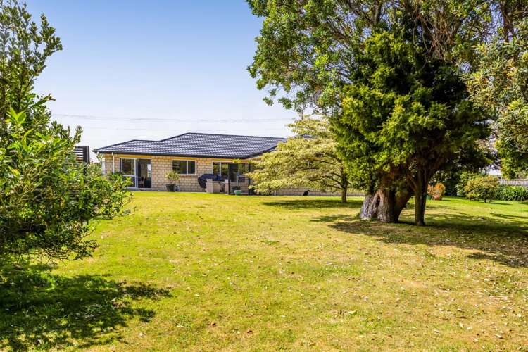 319a South Road Hawera_29