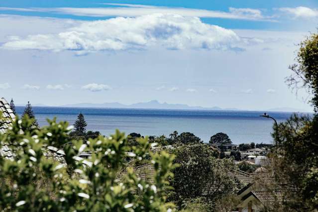 88 Grovenor Drive Orewa_3