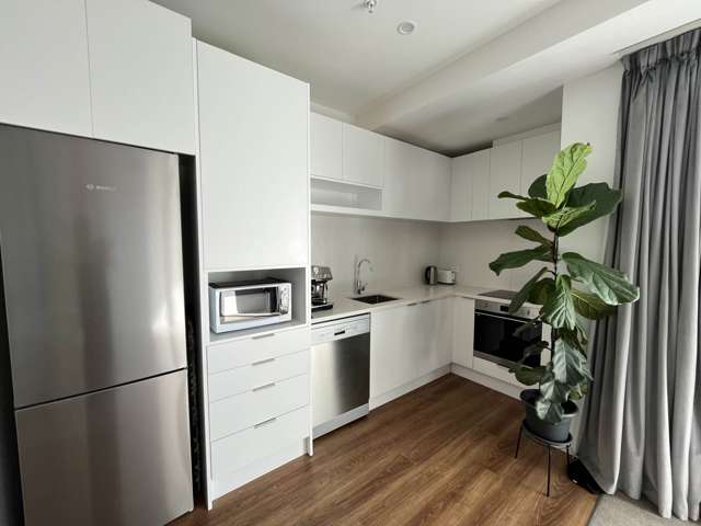 314/1817a Great North Road Avondale_4