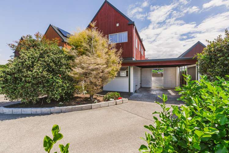 163A Guppy Road Taradale_11