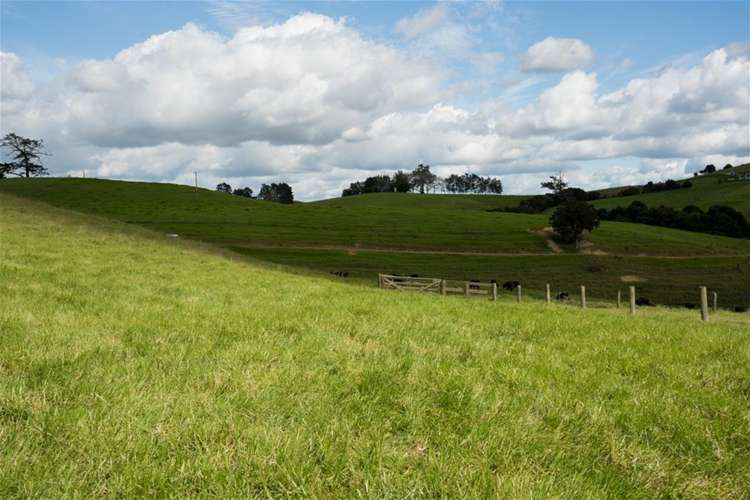 67 Fraser Road Kawakawa_9