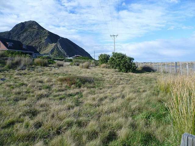 1 Mangatoetoe Grove Cape Palliser_3