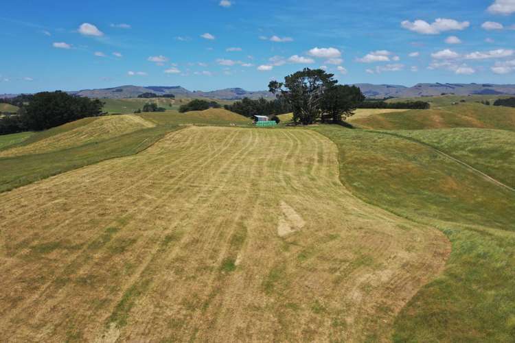 83 Norsewood Ormondville Road Norsewood_1