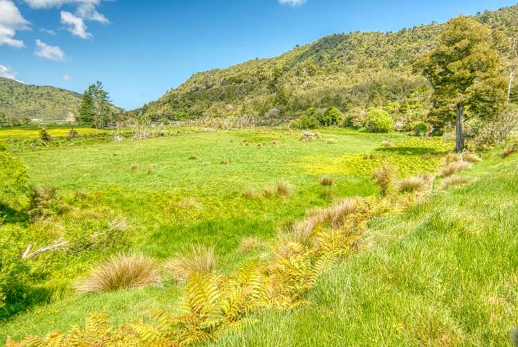 19 Baty Place Coal Creek_53