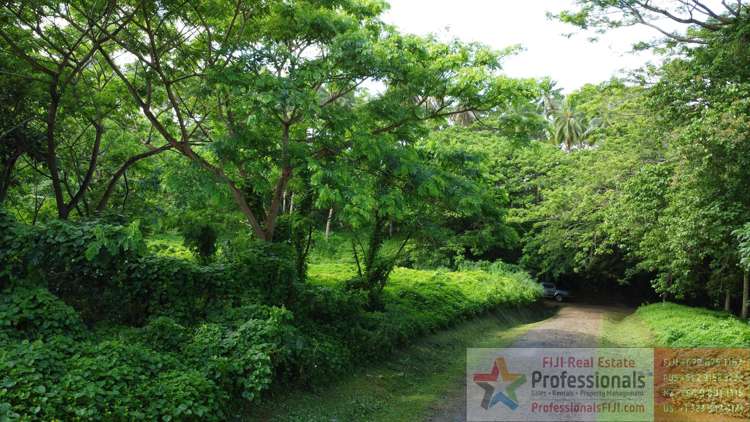 Address withheld Taveuni_12