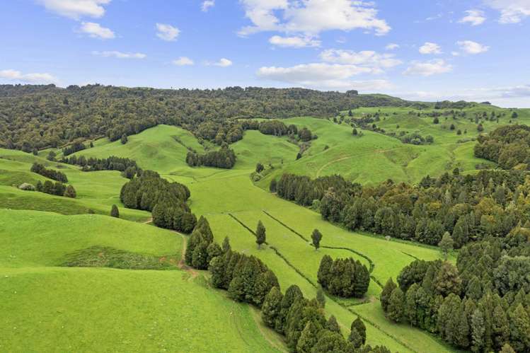 878 Mokauiti Road Aria_3