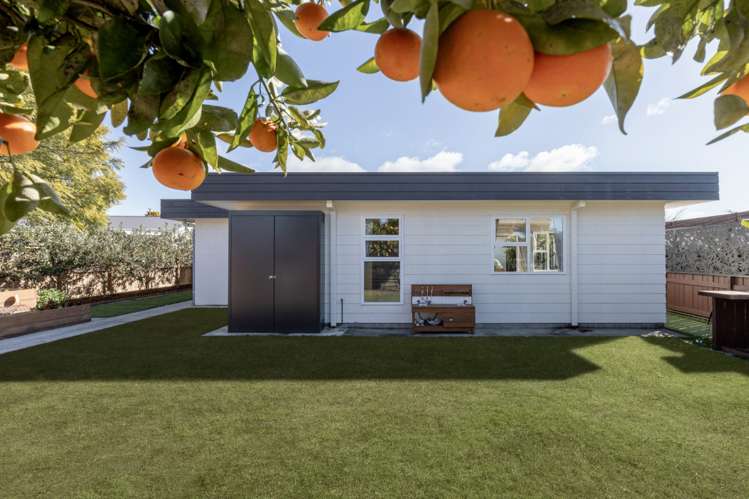 50 Taipari Street Maungatapu_21